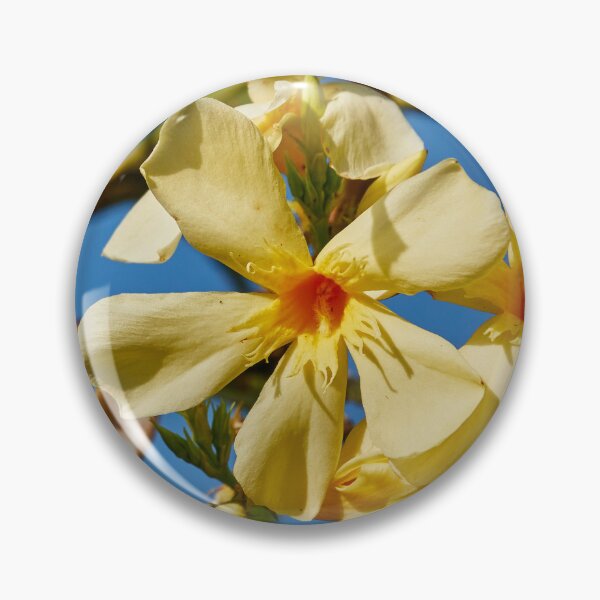 Item preview, Sunny Oleander designed and sold by Eidetic Photos.