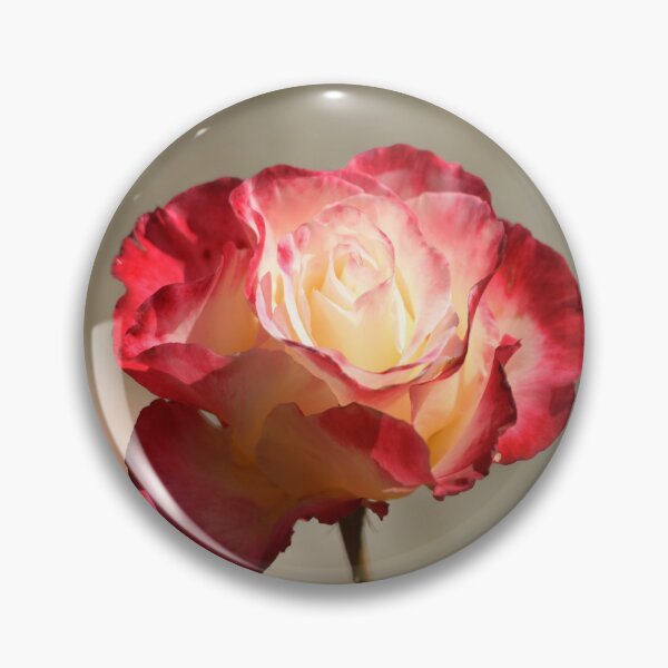 Item preview, Double Delight Rose designed and sold by Yard Cards.