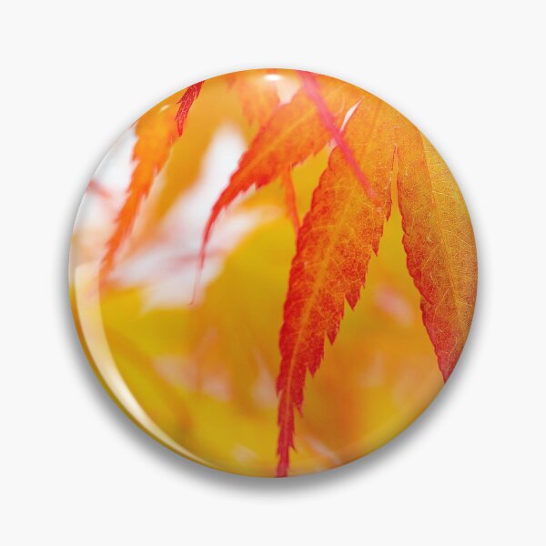 Item preview, Fall into Autumn - orange Acer leaf by heidiannemorris ©️  designed and sold by FOLK ART FUSION by heidiannemorris.
