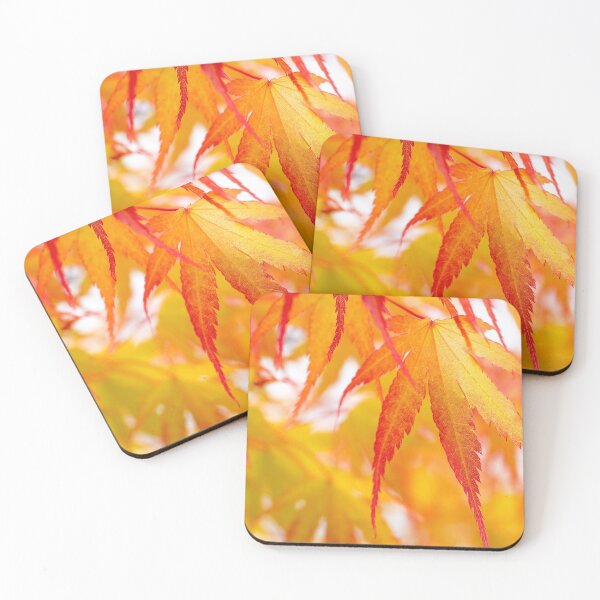 Item preview, Fall into Autumn - orange Acer leaf by heidiannemorris ©️  designed and sold by FOLK ART FUSION by heidiannemorris.