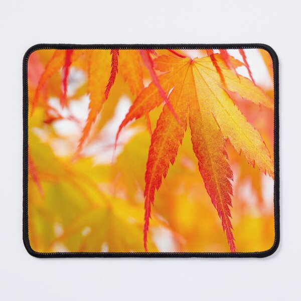 Item preview, Fall into Autumn - orange Acer leaf by heidiannemorris ©️  designed and sold by FOLK ART FUSION by heidiannemorris.