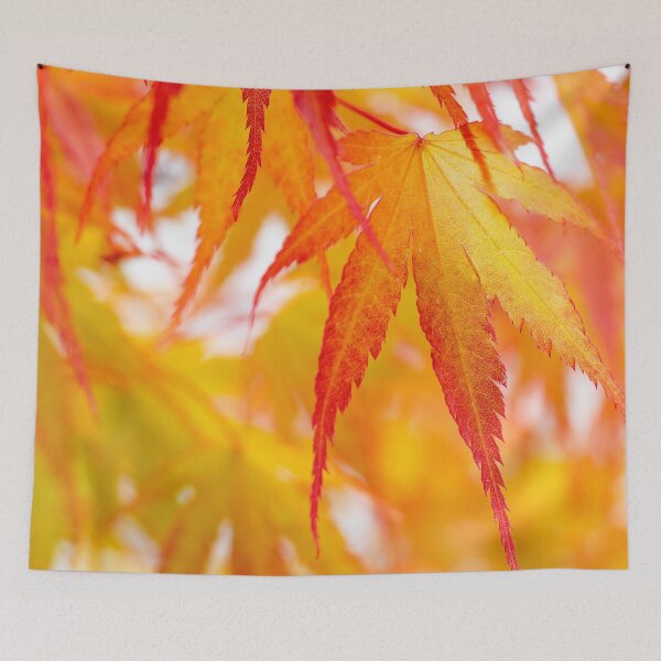 Item preview, Fall into Autumn - orange Acer leaf by heidiannemorris ©️  designed and sold by FOLK ART FUSION by heidiannemorris.