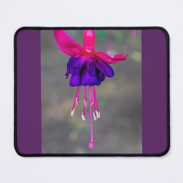 Item preview, Colorful Purple and Pink Fuchsia Blossom designed and sold by LINDA MCKUSICK.