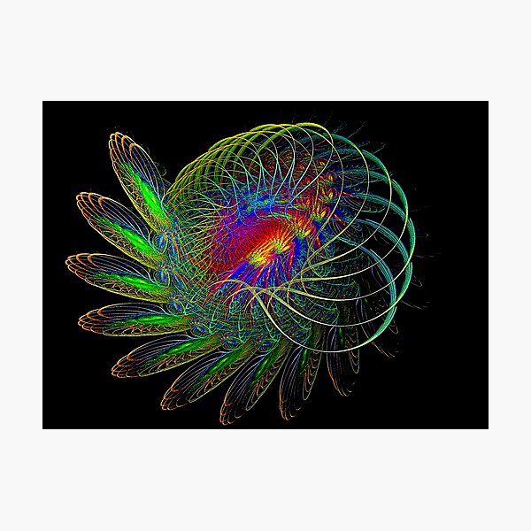 My Version of Spirographs Photographic Print