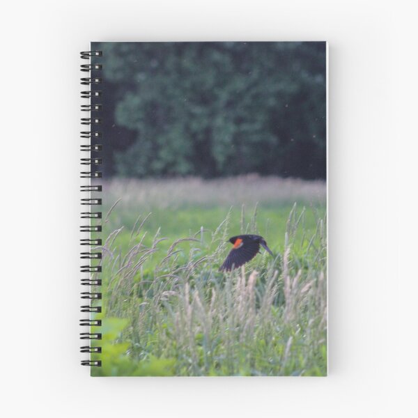 Item preview, Red-Winged BlackBird designed and sold by WorldOfWondersCreatives.