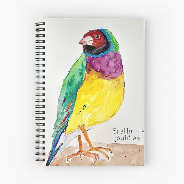Item preview, Gouldian finch designed and sold by junehog.