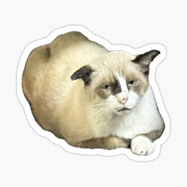 Aperçu de l'œuvre Ambiance de chat grincheux sans regrets créée et vendue par ForYouFree.