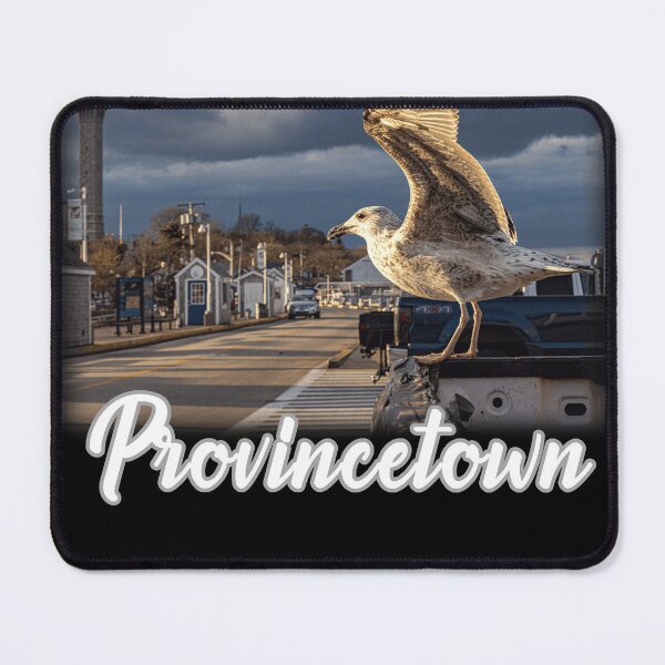 Item preview, Provincetown Waterfront Seagull on a Cloudy Day designed and sold by WigOutlet.