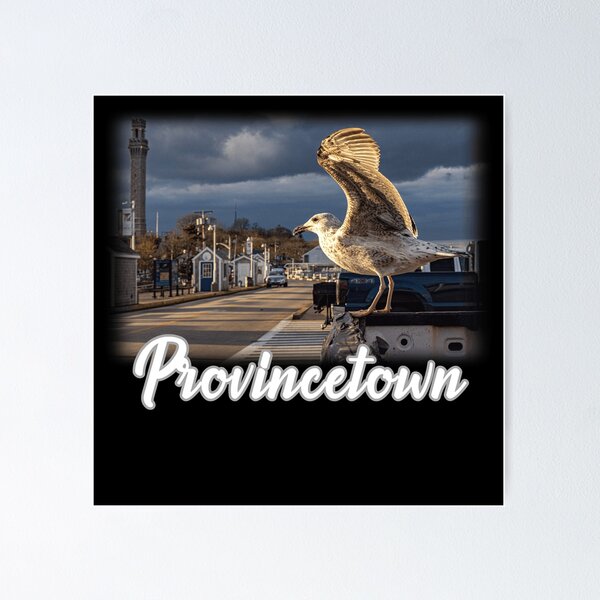 Item preview, Provincetown Waterfront Seagull on a Cloudy Day designed and sold by WigOutlet.