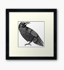 raven Framed Print