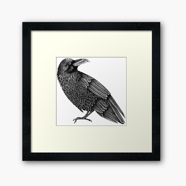 raven Framed Art Print