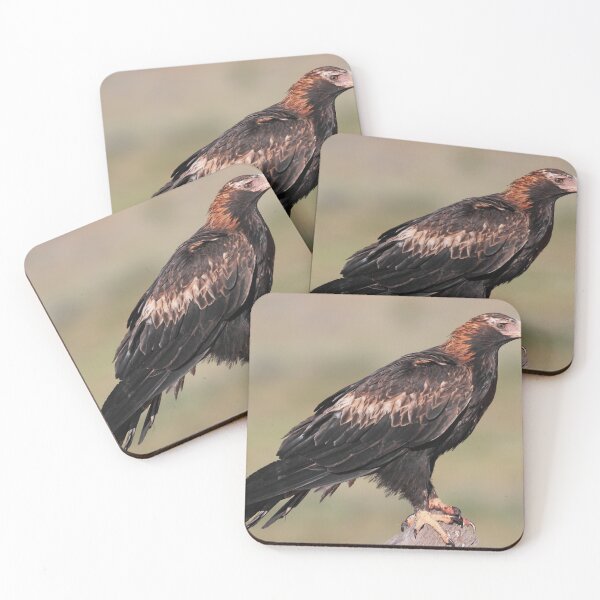 Item preview, Wedge-tailed Eagle of Australia designed and sold by Seesee.