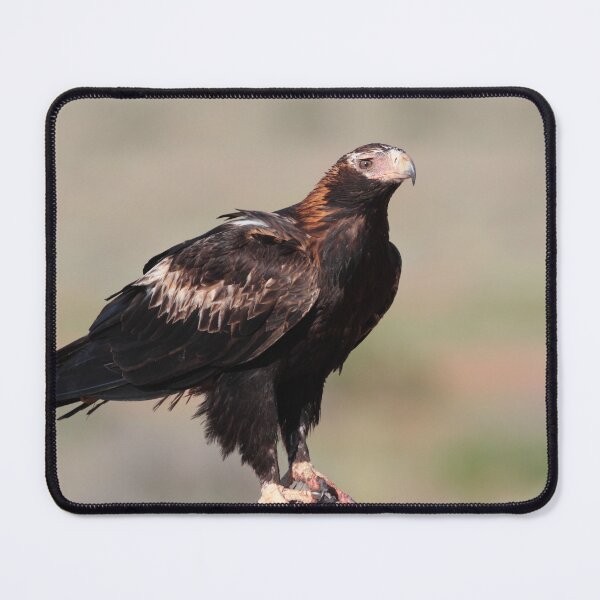 Item preview, Wedge-tailed Eagle of the Australian Outback designed and sold by Seesee.