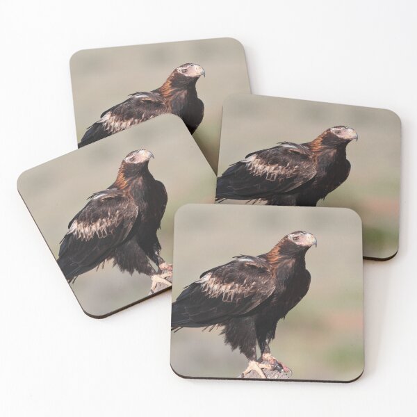 Item preview, Wedge-tailed Eagle of the Australian Outback designed and sold by Seesee.