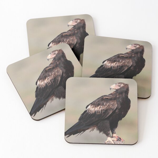 Item preview, Wedge-tailed Eagle of South Australia designed and sold by Seesee.