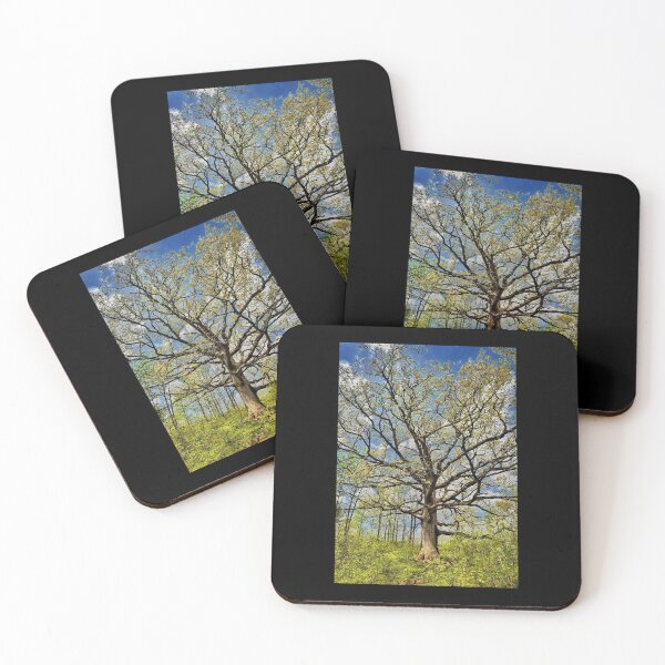 Item preview, Majestic Oak Tree – Symbol of Strength and Wisdom designed and sold by Dynahgrl.