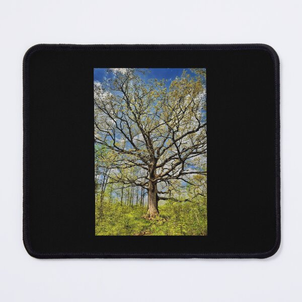 Item preview, Majestic Oak Tree – Symbol of Strength and Wisdom designed and sold by Dynahgrl.