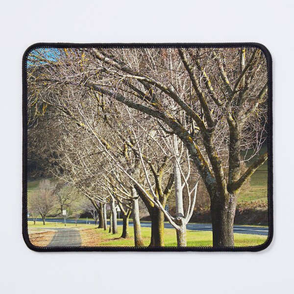 Item preview, Shared Pathway Ahead designed and sold by Joy Watson - Natural Light Photography .