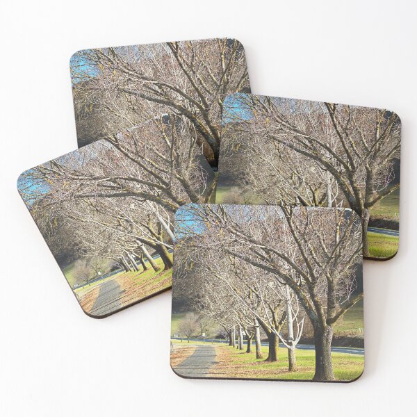 Item preview, Shared Pathway Ahead designed and sold by Joy Watson - Natural Light Photography .