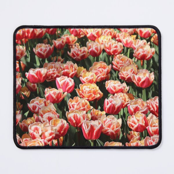 Item preview, Keukenhof, Holland 2025 designed and sold by Gail Mew.