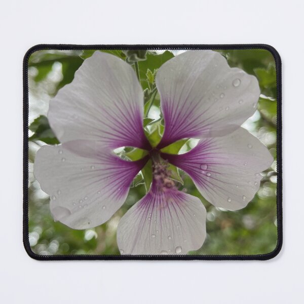Item preview, Tree Mallow designed and sold by Kymbo.
