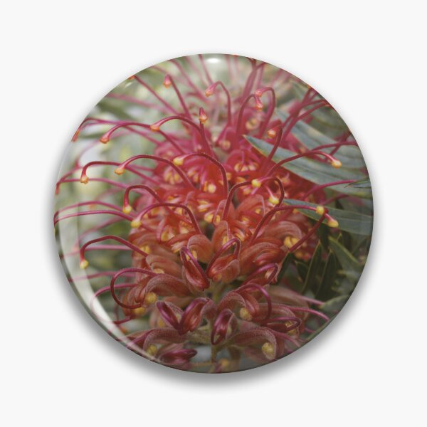 Item preview, Grevillea in its Glory designed and sold by archieswell.