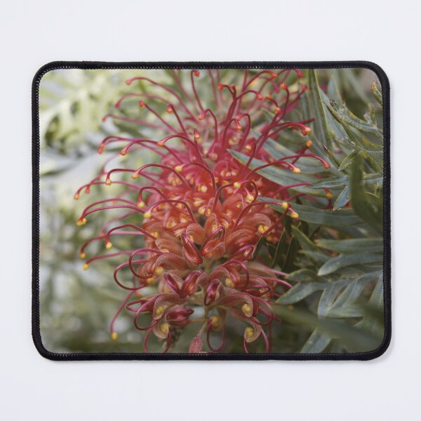 Item preview, Grevillea in its Glory designed and sold by archieswell.