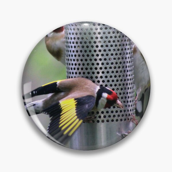 Item preview, goldfinch designed and sold by KathleenDawson.