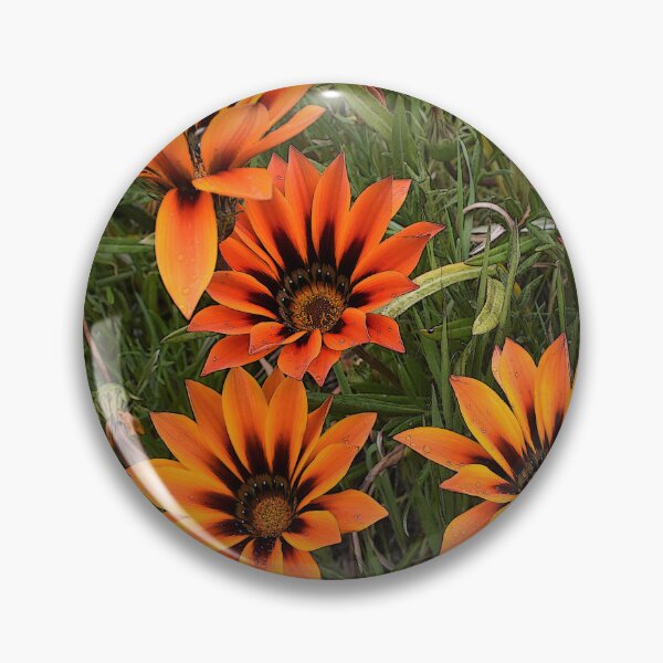Item preview, Orange and Black Gazanias designed and sold by Yolanda Caporn Art.