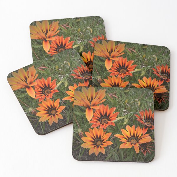 Item preview, Orange and Black Gazanias designed and sold by Yolanda Caporn Art.