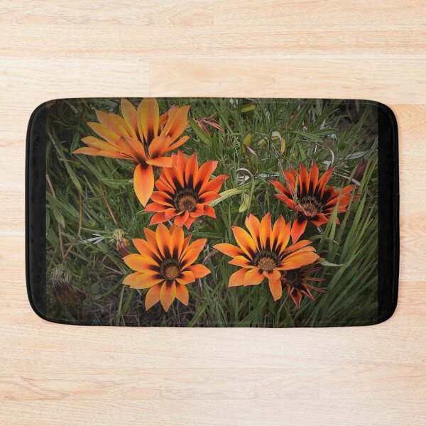 Item preview, Orange and Black Gazanias designed and sold by Yolanda Caporn Art.