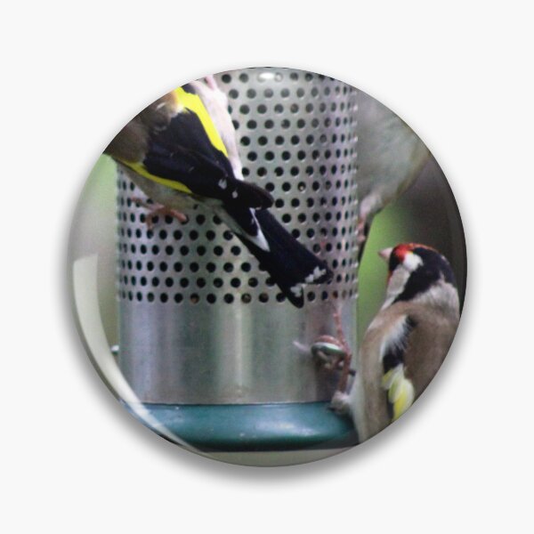 Item preview, goldfinch designed and sold by KathleenDawson.