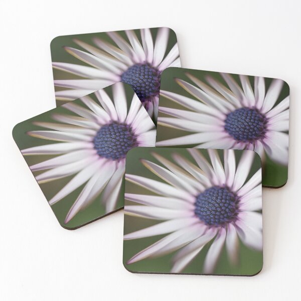 Item preview, Oh Winter Daisy designed and sold by Joy Watson - Natural Light Photography .