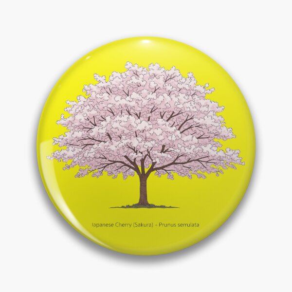 Item preview, Japanese Cherry (Sakura) – Prunus serrulata  designed and sold by BloomKind.