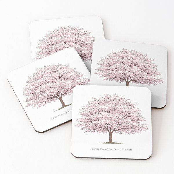 Item preview, Japanese Cherry (Sakura) – Prunus serrulata  designed and sold by BloomKind.