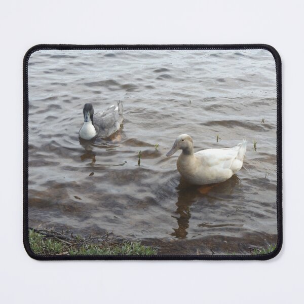 Item preview, Pair of Ducks designed and sold by This and That.