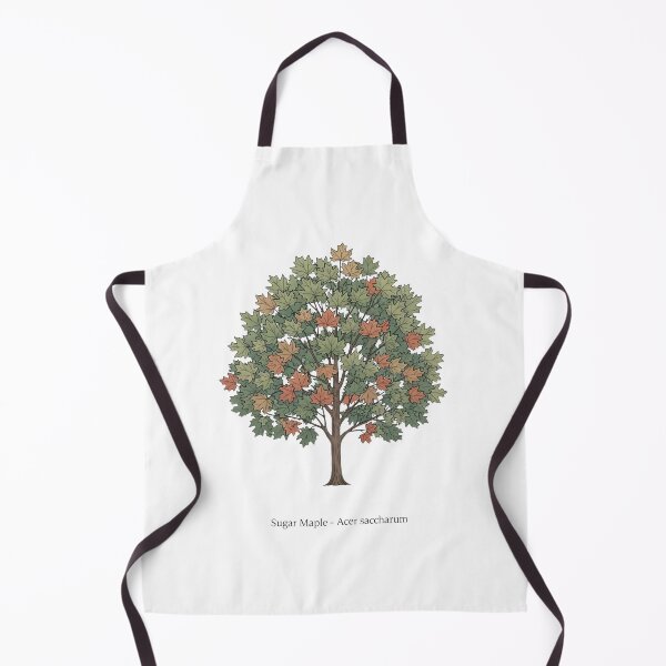 Item preview, Sugar Maple – Acer saccharum designed and sold by BloomKind.