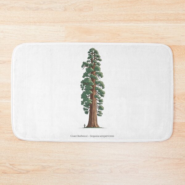 Item preview, Coast Redwood – Sequoia sempervirens designed and sold by BloomKind.