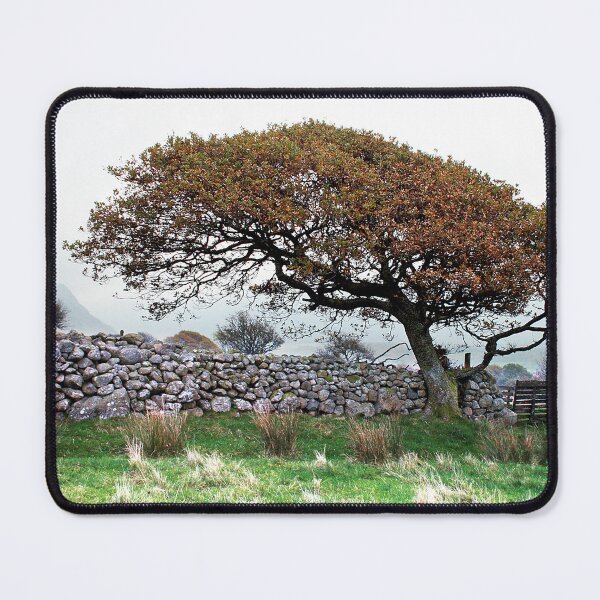 Item preview, autumn days designed and sold by Murph's Images.