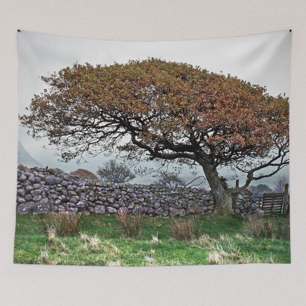 Item preview, autumn days designed and sold by Murph's Images.