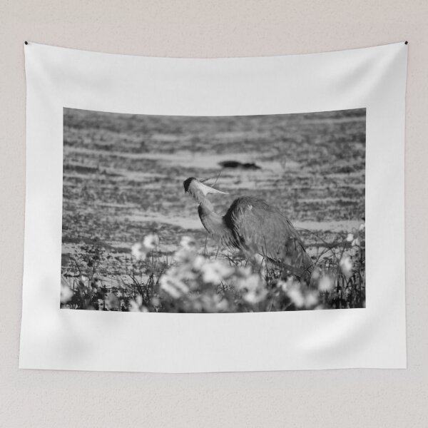 Item preview, Apopka Wildlife Drive Great Blue Heron Tongue Out Black And White designed and sold by MercerImages.