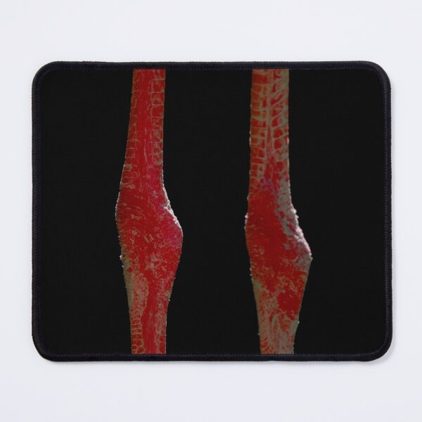 Item preview, Flamingo Legs designed and sold by ezcreate.media.