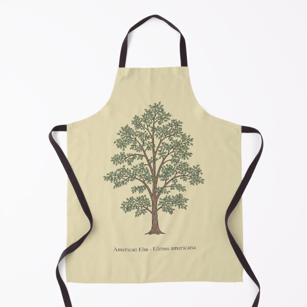 Item preview, American Elm – Ulmus americana designed and sold by BloomKind.