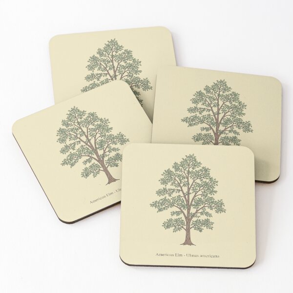 Item preview, American Elm – Ulmus americana designed and sold by BloomKind.