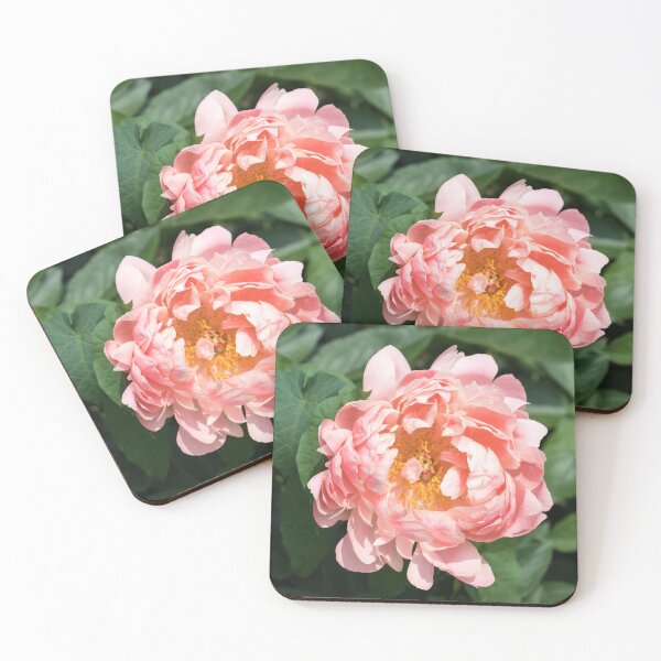 Item preview, One Very Showy Peony Bloom in Splendid Apricotty Pink designed and sold by Georgia Mizuleva.
