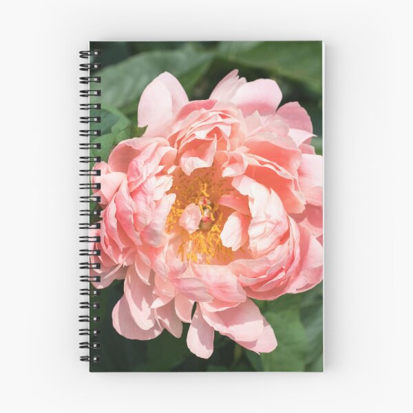 Item preview, One Very Showy Peony Bloom in Splendid Apricotty Pink designed and sold by Georgia Mizuleva.