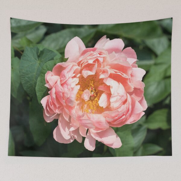 Item preview, One Very Showy Peony Bloom in Splendid Apricotty Pink designed and sold by Georgia Mizuleva.