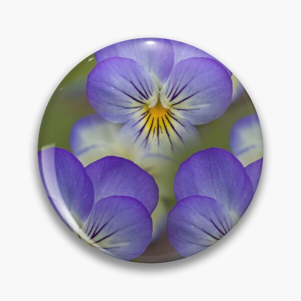 Item preview, Violets designed and sold by Veikko  Suikkanen.