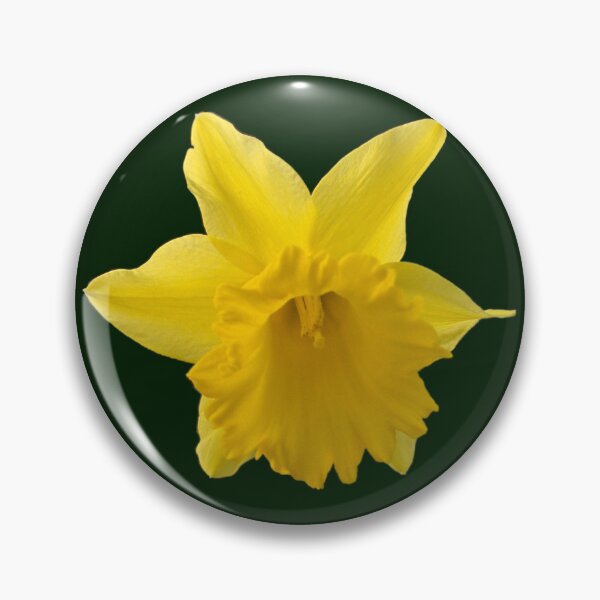 Item preview, Daffodil designed and sold by Murph's Images.