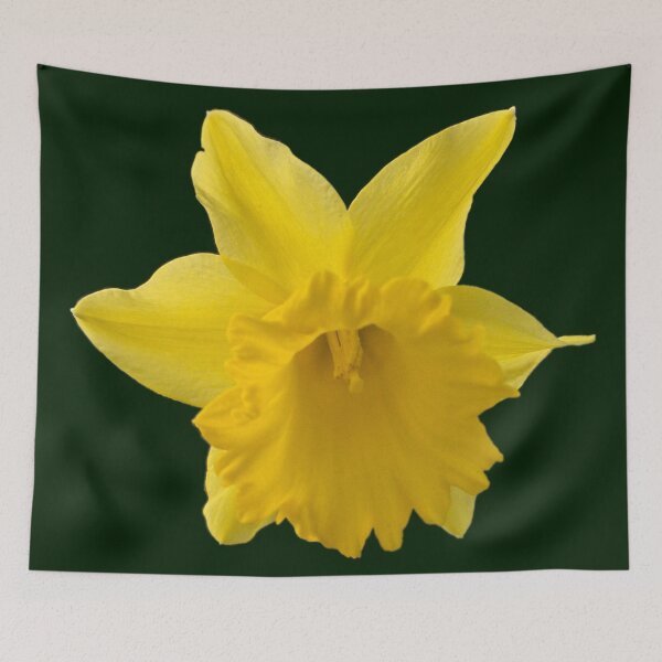 Item preview, Daffodil designed and sold by Murph's Images.